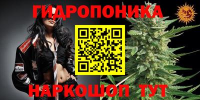 таблы Ростов-на-Дону