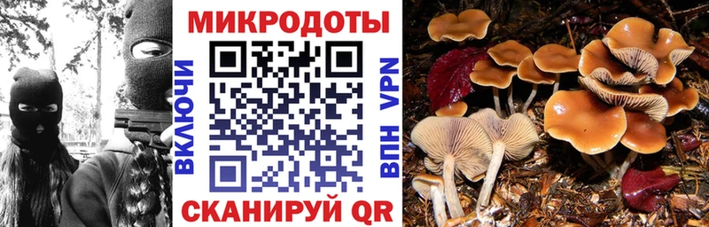 OMG ссылка  Клинцы  Псилоцибиновые грибы GOLDEN TEACHER 