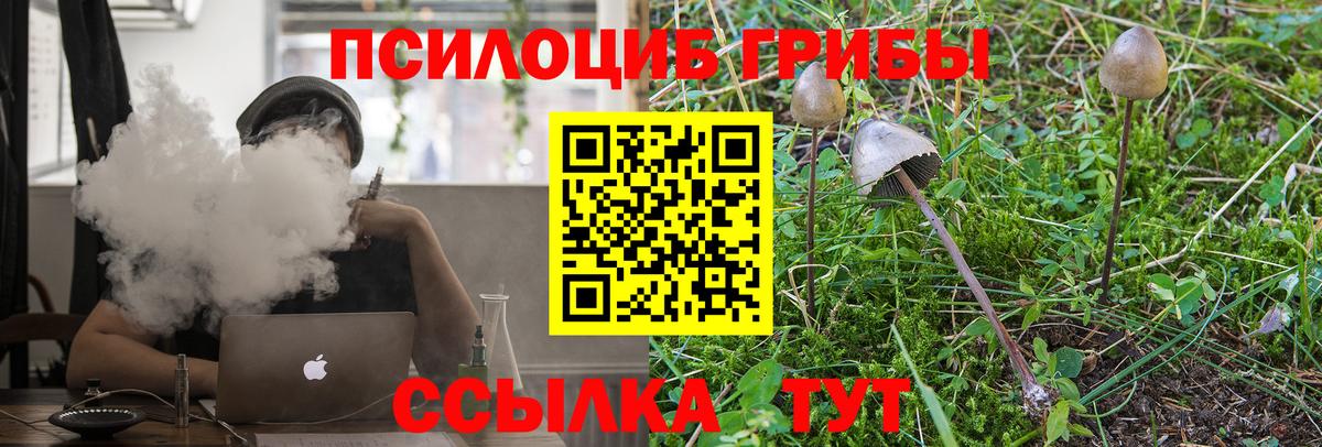 наркота  Галлюциногенные грибы MAGIC MUSHROOMS  Вход с VPN  Клинцы 